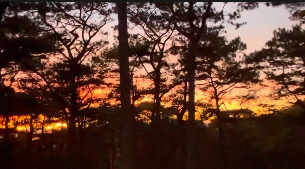 Campjohnhay Forest Estate Baguio City ภายนอก รูปภาพ